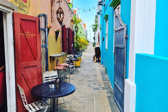 Unique Private Experiences Tour in Curacao - Who should book this experience?