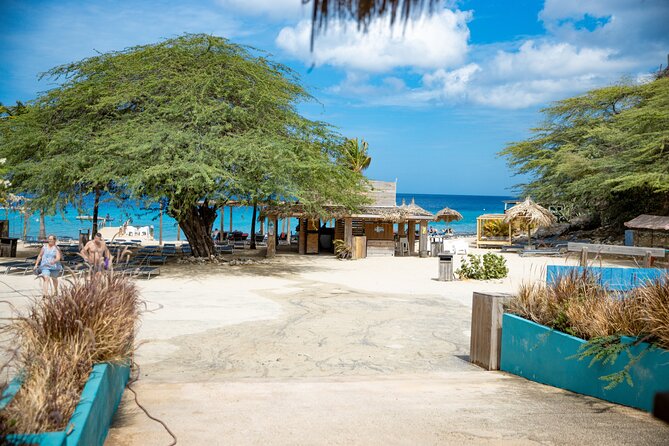 UTV Buggy and Snorkeling Tour in Willemstad Curacao - What the $215 group price really gives you