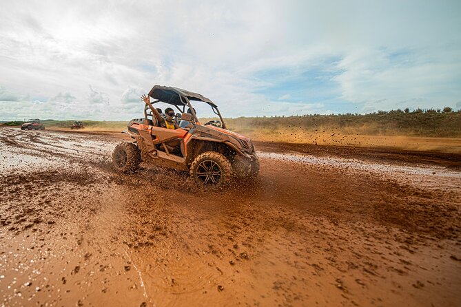 UTV Buggy Expedition in West Coast - Why the UTV Is Better Than a Standard ATV for Some Riders
