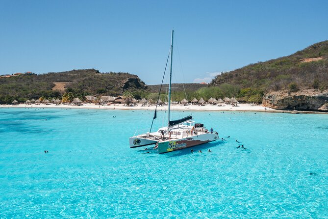 West Coast Full-Day Tour with Beaches, BBQ and Blue Room - Key details to know before booking